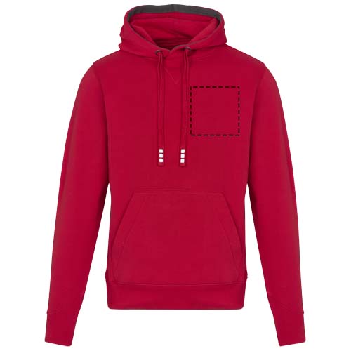 Arora 300 g/m² unisex hoodie