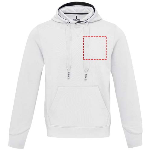 Arora 300 g/m² unisex hoodie
