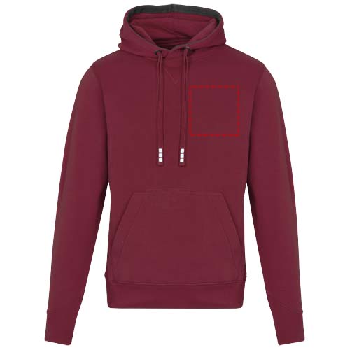 Arora 300 g/m² unisex hoodie